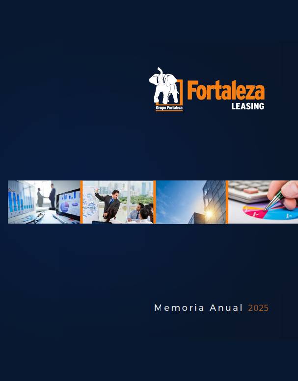 Memoria Anual 2025